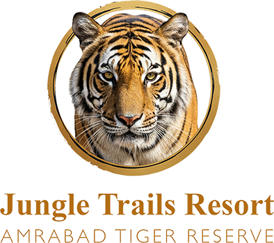 Jungle Trails Logo
