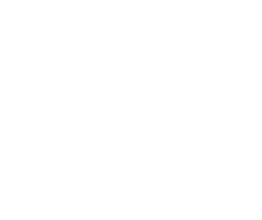 Transit Mrugavani Mannanur Logo